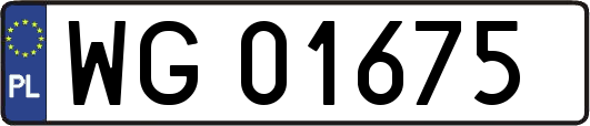 WG01675