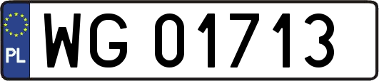 WG01713