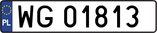 WG01813