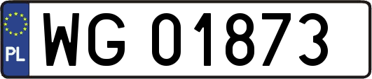 WG01873