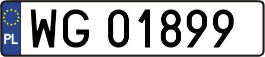 WG01899