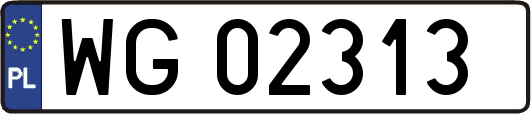 WG02313