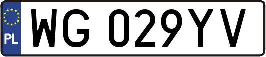 WG029YV