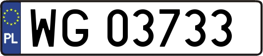 WG03733