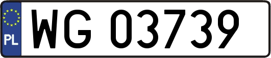 WG03739