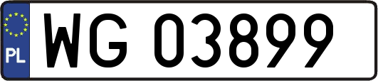 WG03899