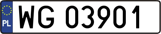WG03901