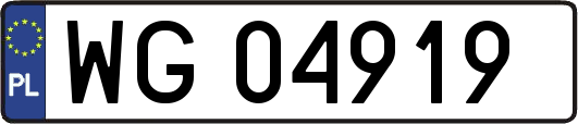 WG04919