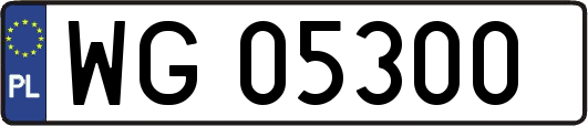 WG05300
