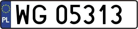 WG05313