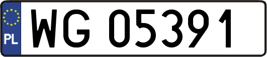 WG05391