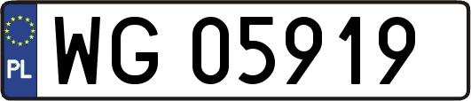 WG05919