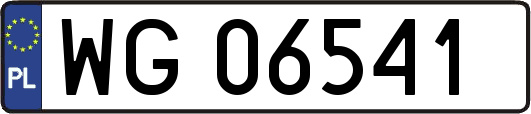 WG06541