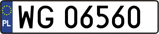 WG06560
