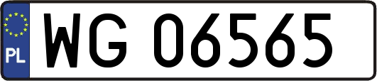 WG06565