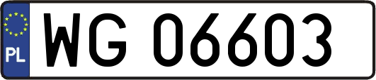 WG06603