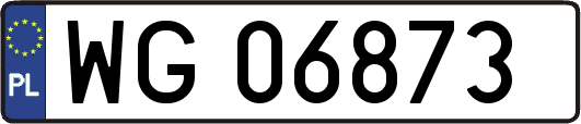 WG06873