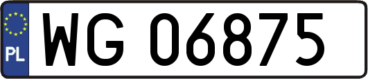 WG06875