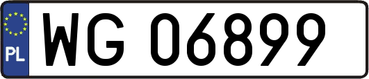 WG06899