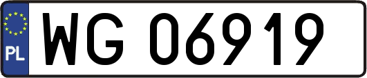 WG06919