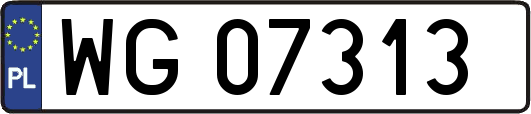 WG07313