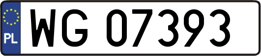 WG07393