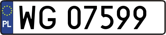 WG07599