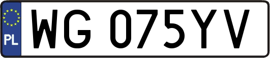 WG075YV