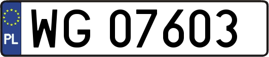WG07603