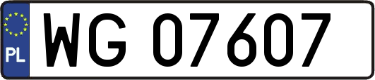 WG07607