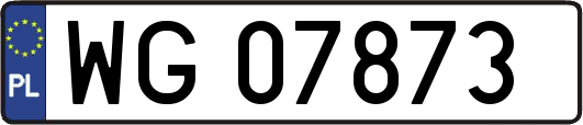WG07873