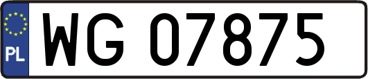 WG07875