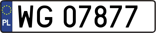 WG07877