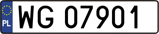 WG07901