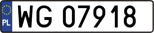 WG07918