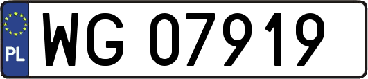 WG07919