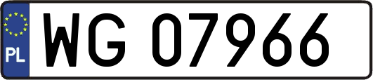 WG07966