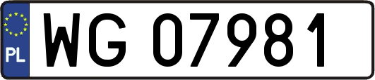 WG07981