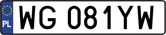 WG081YW