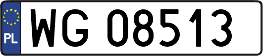 WG08513