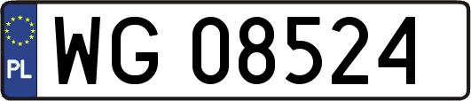 WG08524