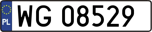 WG08529