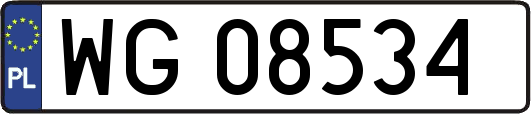 WG08534