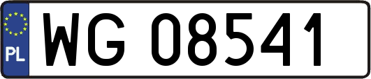 WG08541