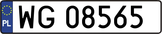 WG08565