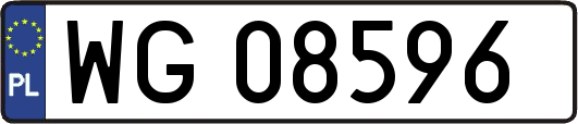 WG08596