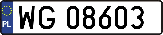WG08603