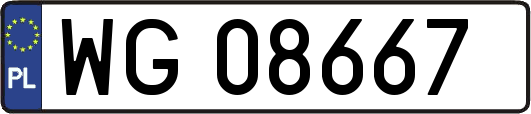 WG08667
