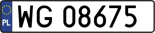 WG08675