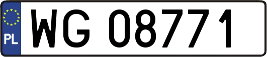 WG08771